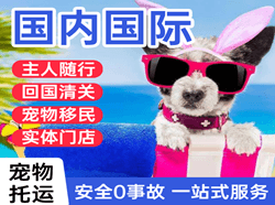 锦州机场货运国际宠物托运 【国